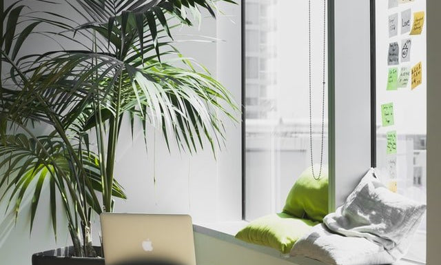 Shopify metafieldide haldus adminpaneelist